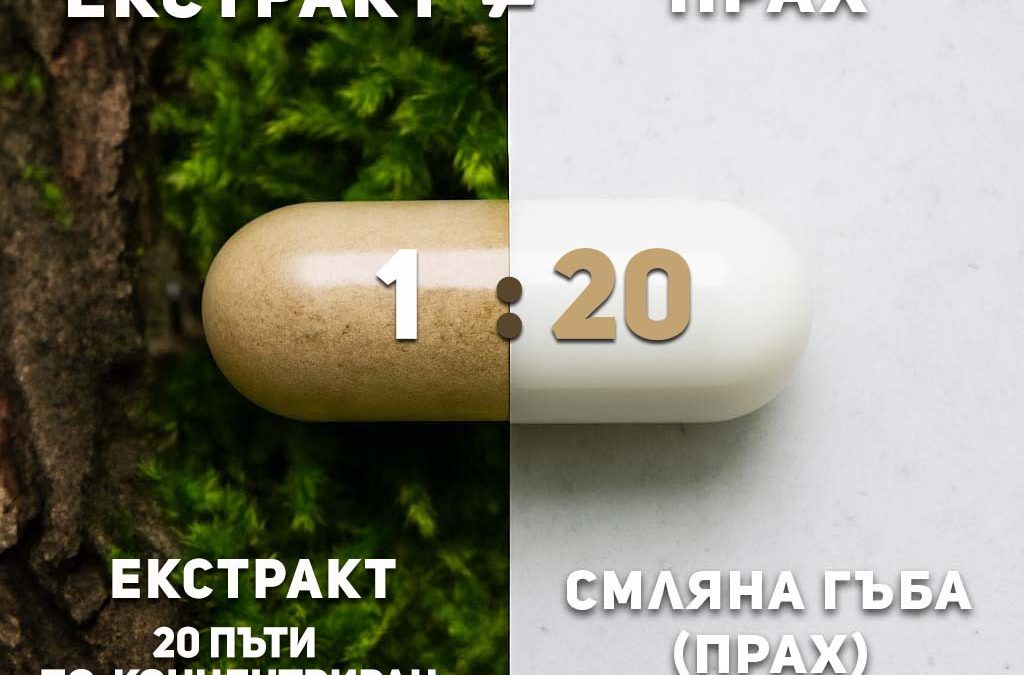 Сравнение между гъбен екстракт и смляна гъба прах — МикоФарм